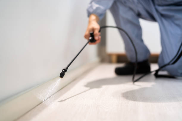 Licensed Fumigation Services service in Avery County County, NC - Nex Pest Control